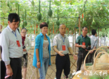 市政协开展“美丽乡村”建设调研